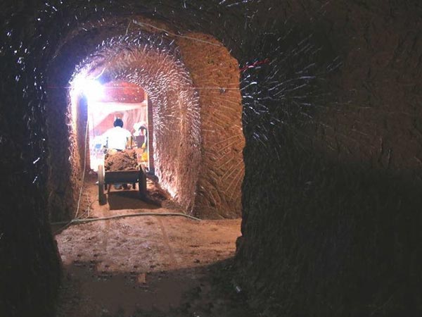 新聞資訊 新聞資訊