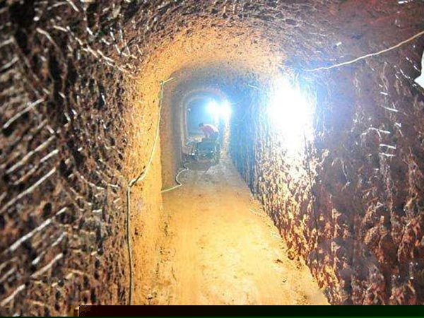 新聞資訊 新聞資訊